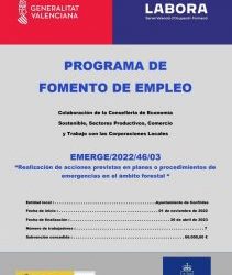 Actas selección EMERGE y EXPLUS 2022
