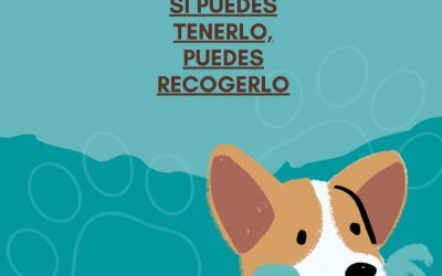 CONFRIDES.NET