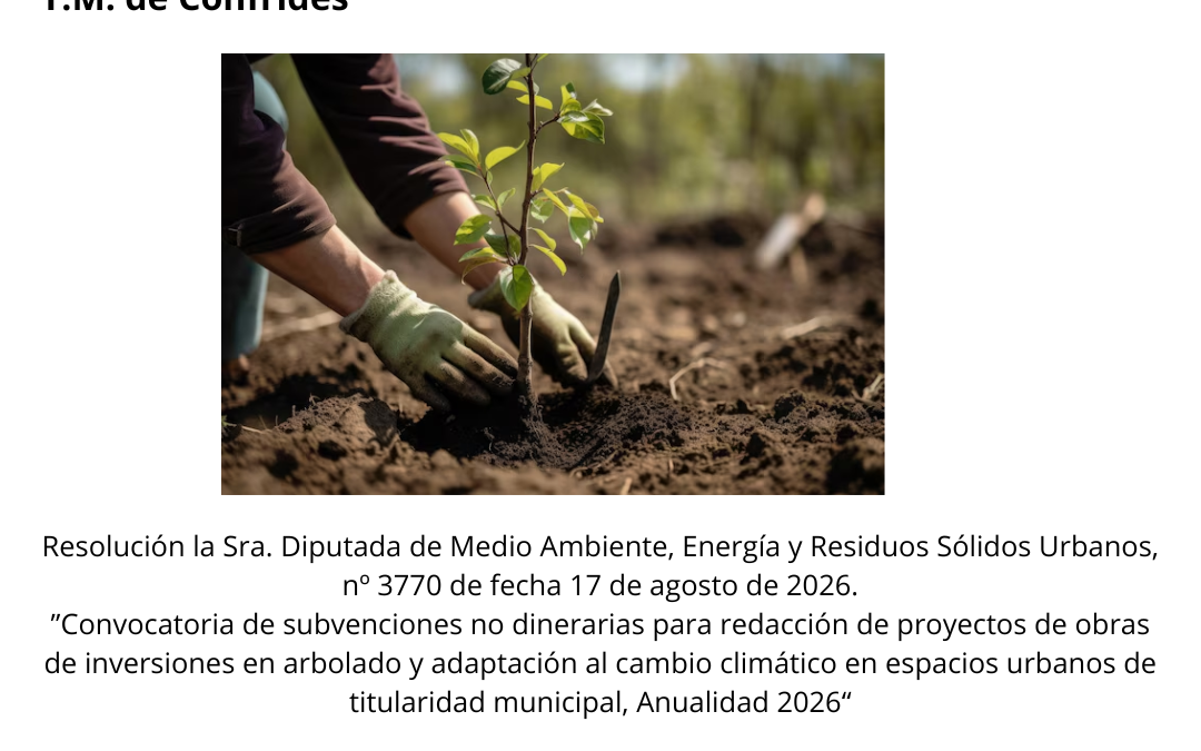 Concedida una subvención de 3.781,00 € por la Diputación de Alicante para la plantación de arbolado y renovación de vial que requiere dotación vegetal en C/ San Antonio en T.M. de Confrides