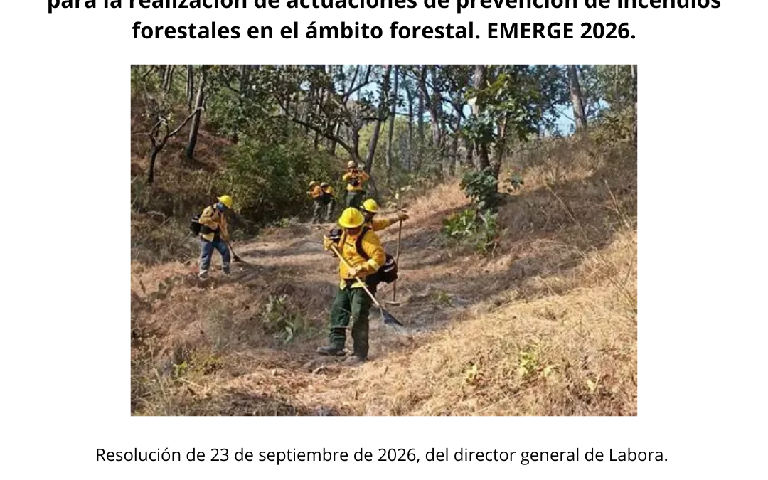 Concedida una subvención de 66.000,00 € destinada a la contratación de personas desempleadas para la realización de actuaciones de prevención de incendios forestales