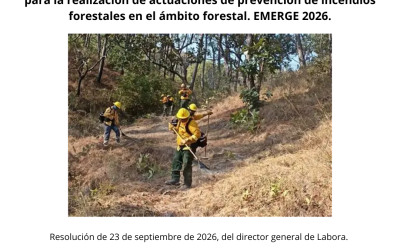 Concedida una subvención de 66.000,00 € destinada a la contratación de personas desempleadas para la realización de actuaciones de prevención de incendios forestales