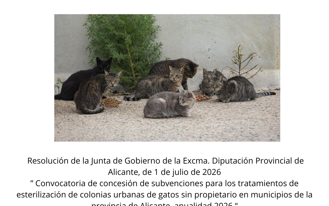Concedida una subvención de 1.498,65 € por la Diputación de Alicante para el control de las colonias de gatos sin propietario en municipios de la provincia de Alicante