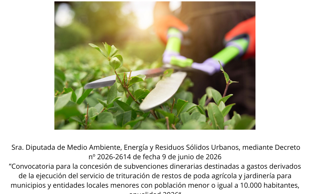 Concedida una subvención de 2.062,37 euros para asumir los gastos derivados de la ejecución del servicio de trituración de restos de poda agrícola y jardinería