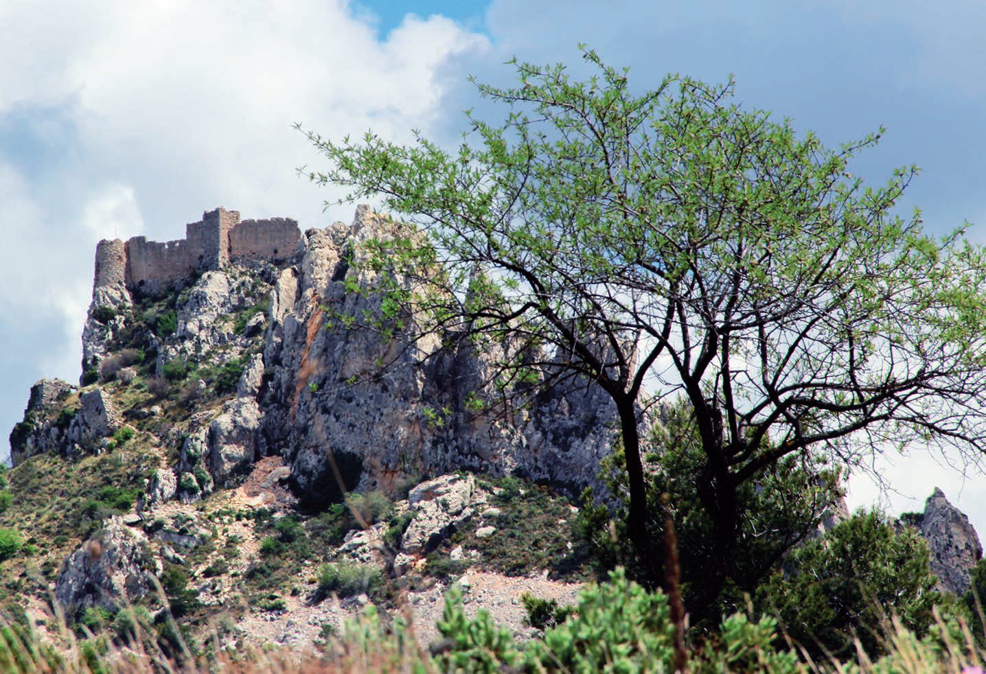 El Castillo de Aljofra